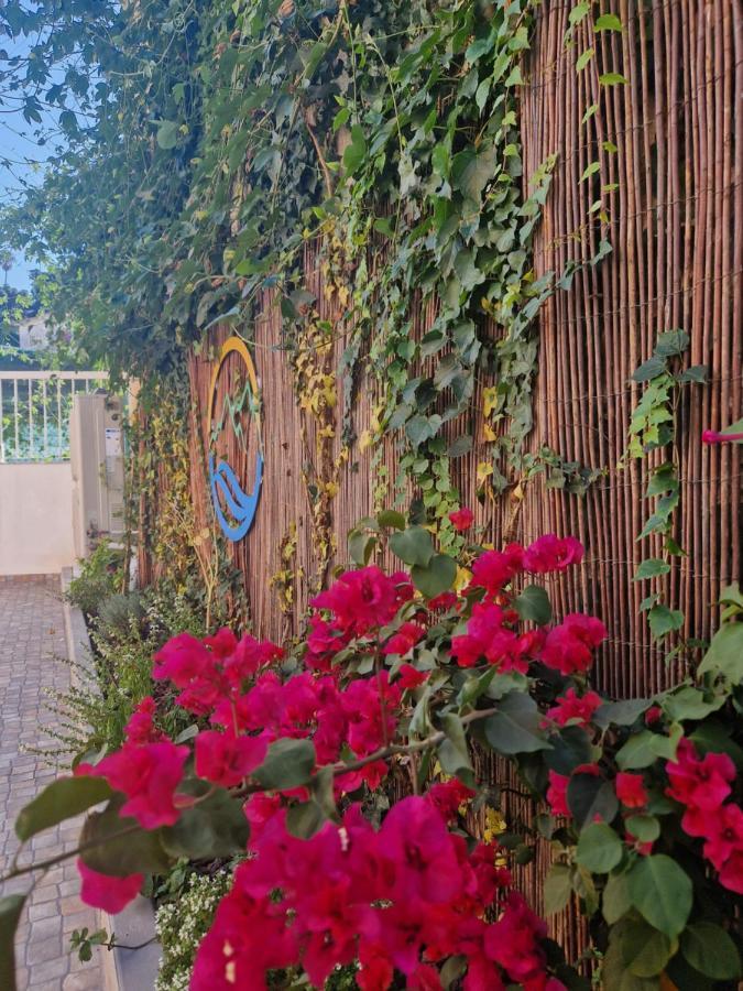 Apartamento Casa Do Albuquerque II Sintra Exterior foto